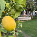 Lejlighed La Casita De El Castillo *