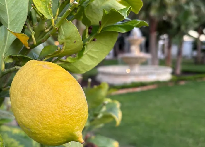 Apartamento La Casita De El Castillo *